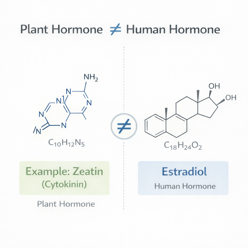 comparison between zeatin cytokinin structure and human estradiol molecular structure