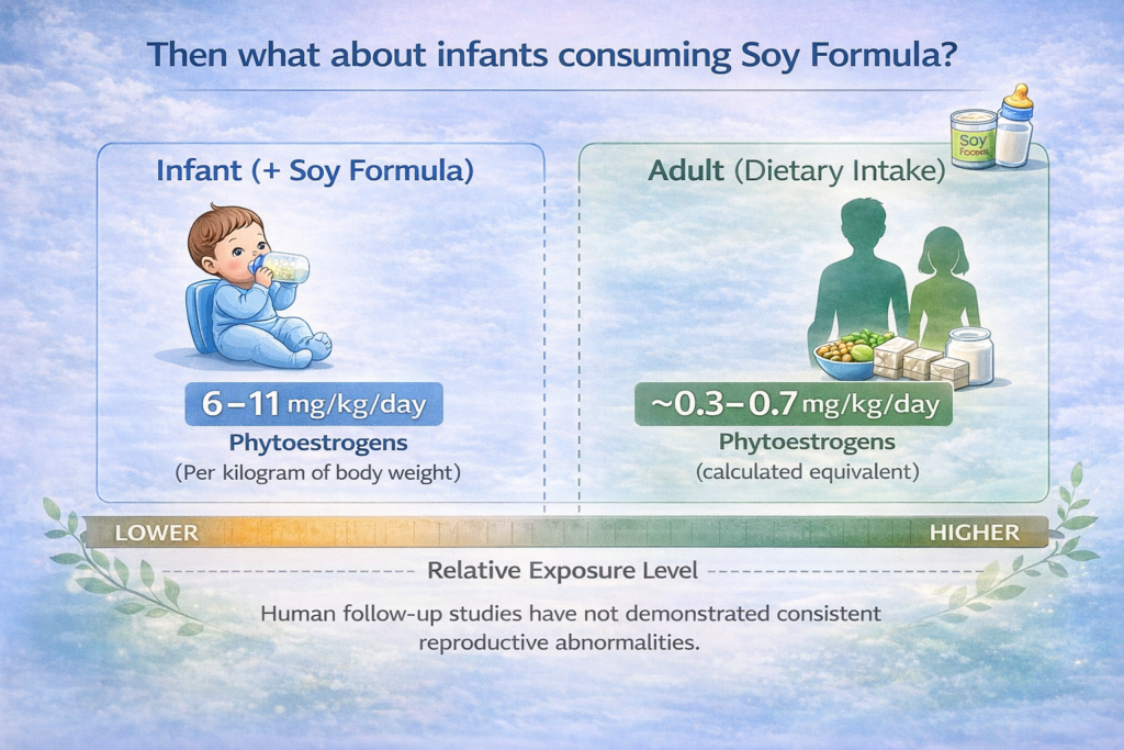 Comparison of isoflavone exposure in soy-fed infants and adults in mg per kg per day