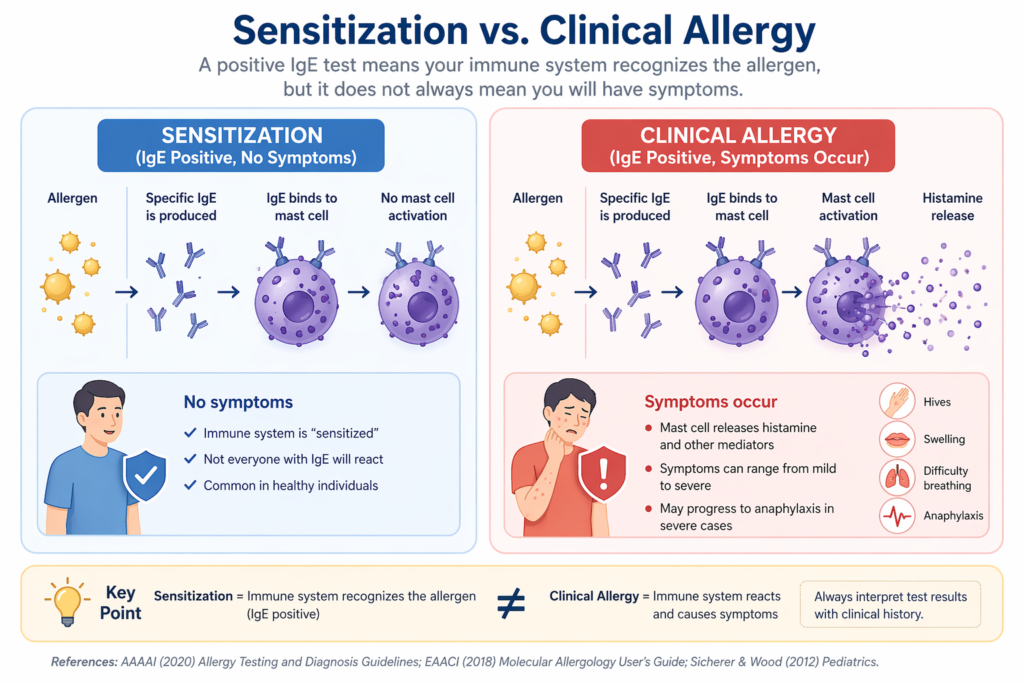 sensitization vs true allergy IgE without symptoms diagram